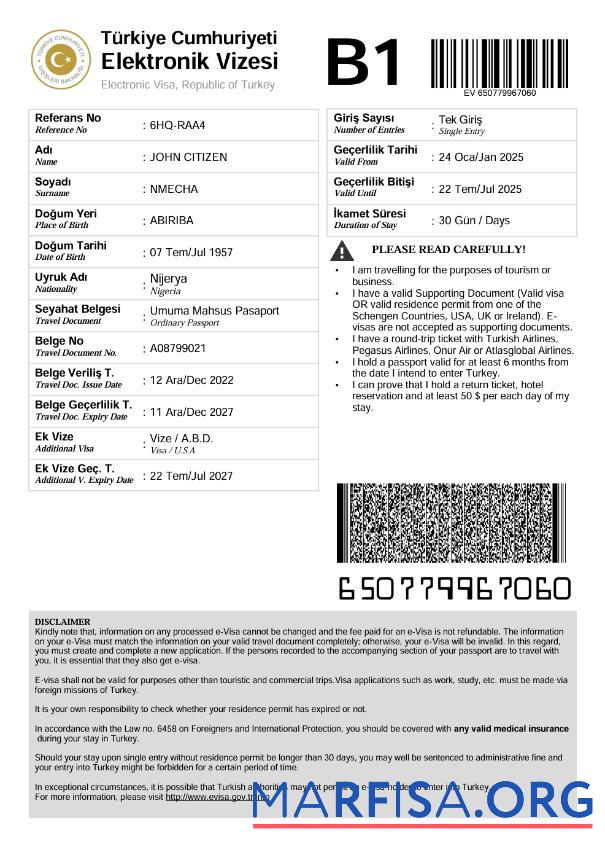 Printable Turkey e visa template in Word and Pdf formats